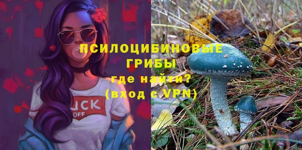 СК Алексеевка